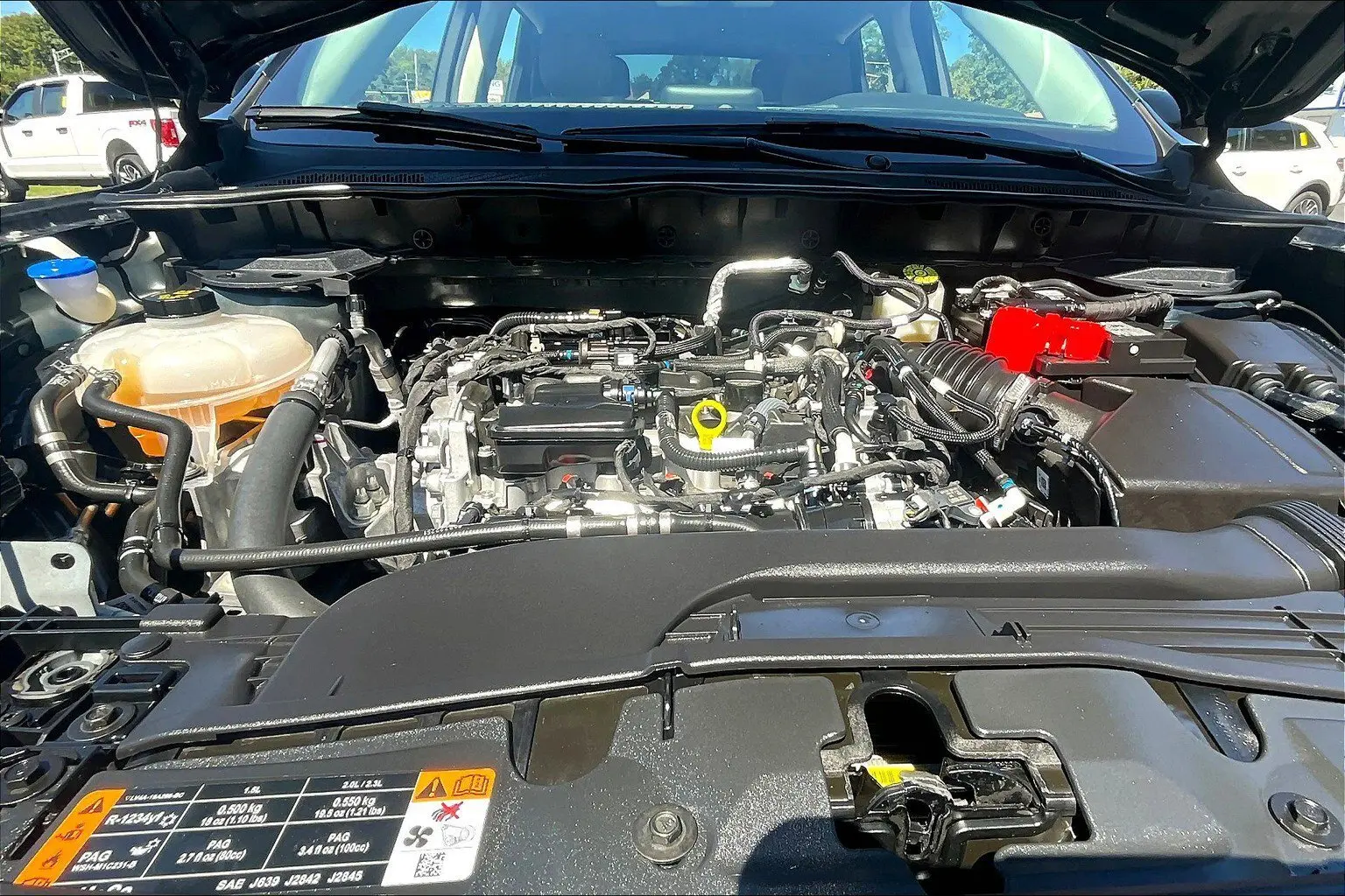 image-8