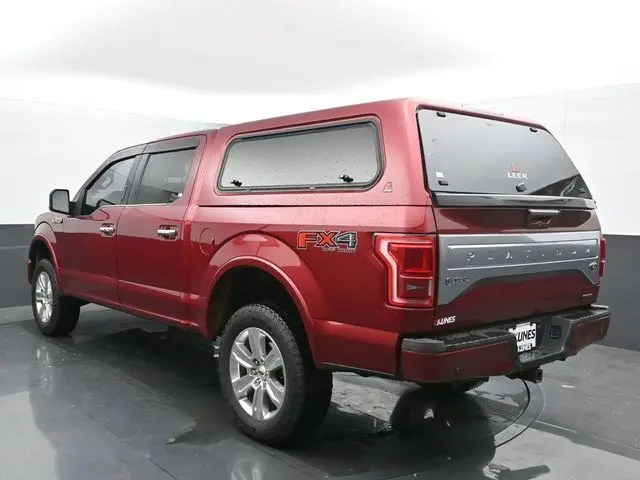 image-7