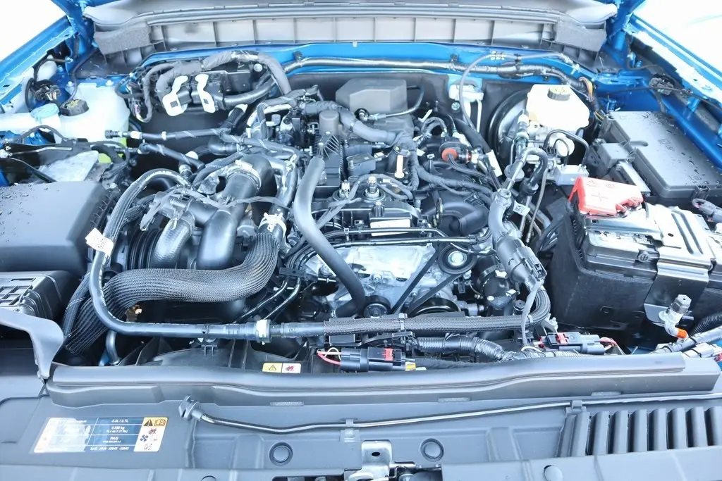 image-19
