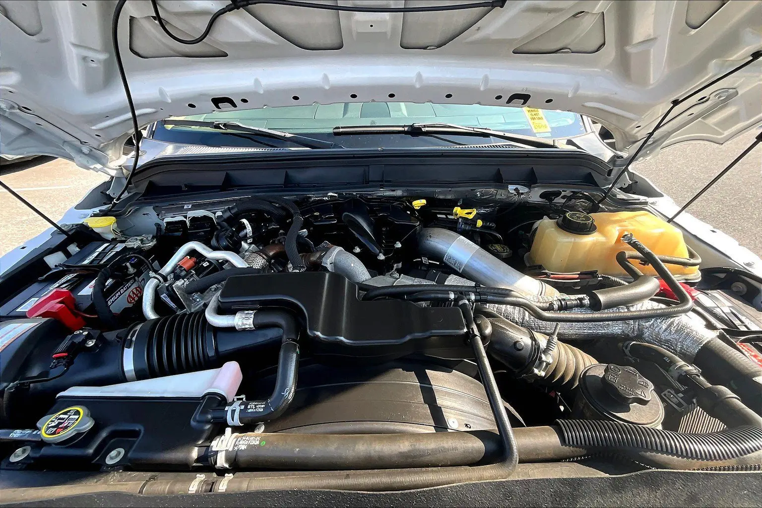 image-9