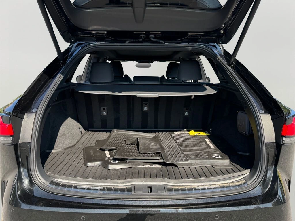 2024 Lexus RX Hybrid 500h - Photo 11