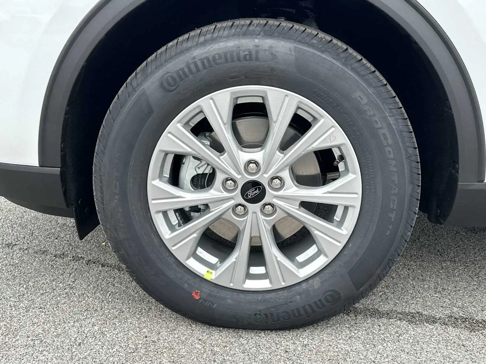 image-9