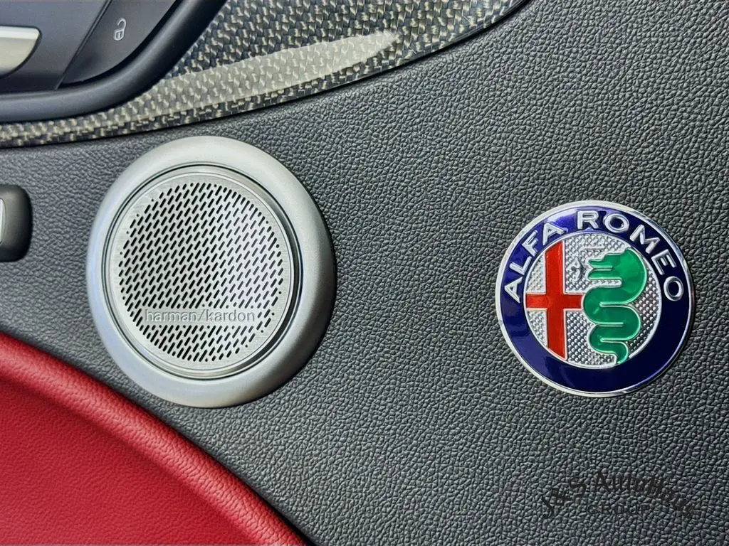 2021 Alfa Romeo Stelvio Quadrifoglio photo 22