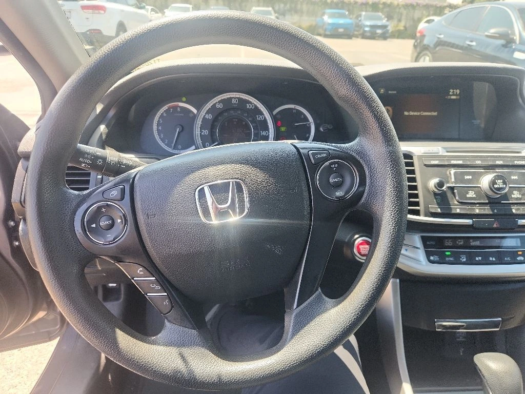 image-19