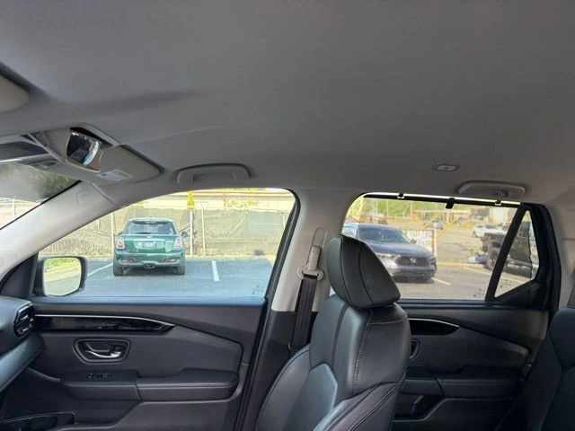 image-11