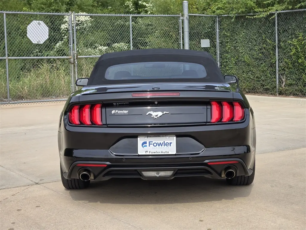 2019 Ford Mustang EcoBoost Premium photo 6