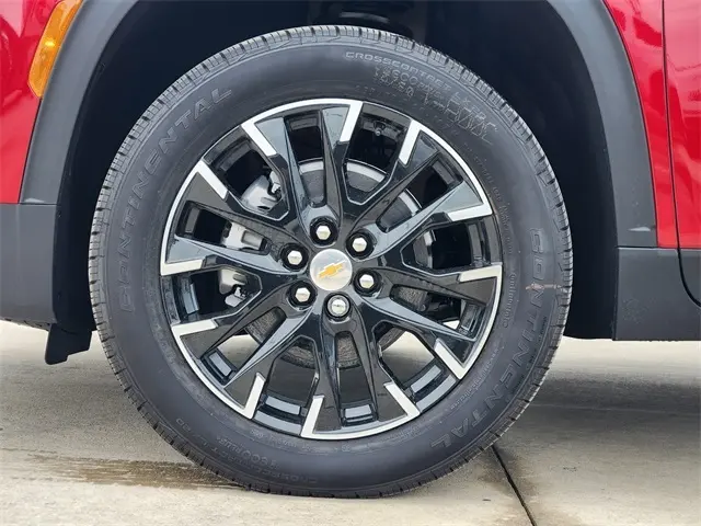 image-7