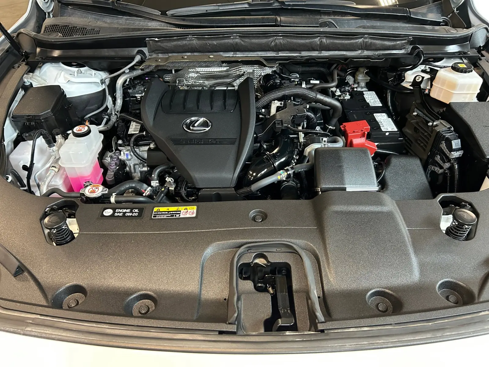 image-19