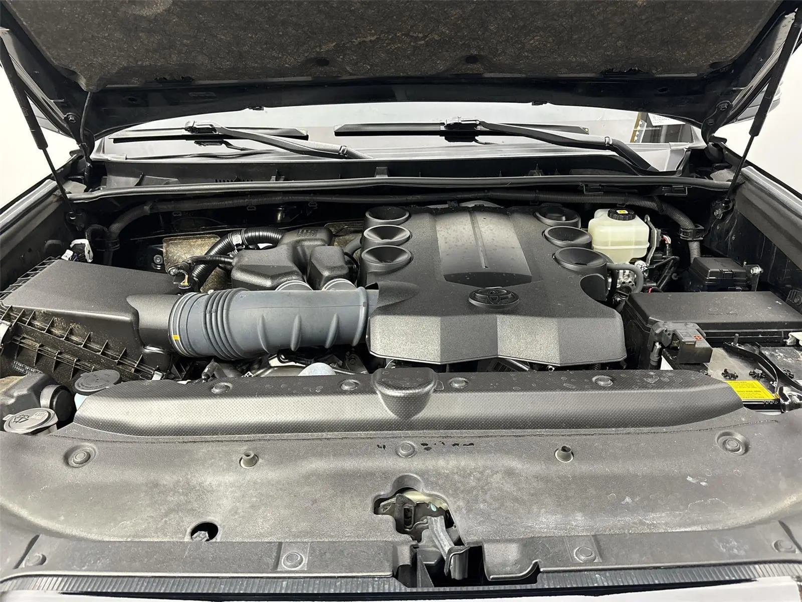 image-19
