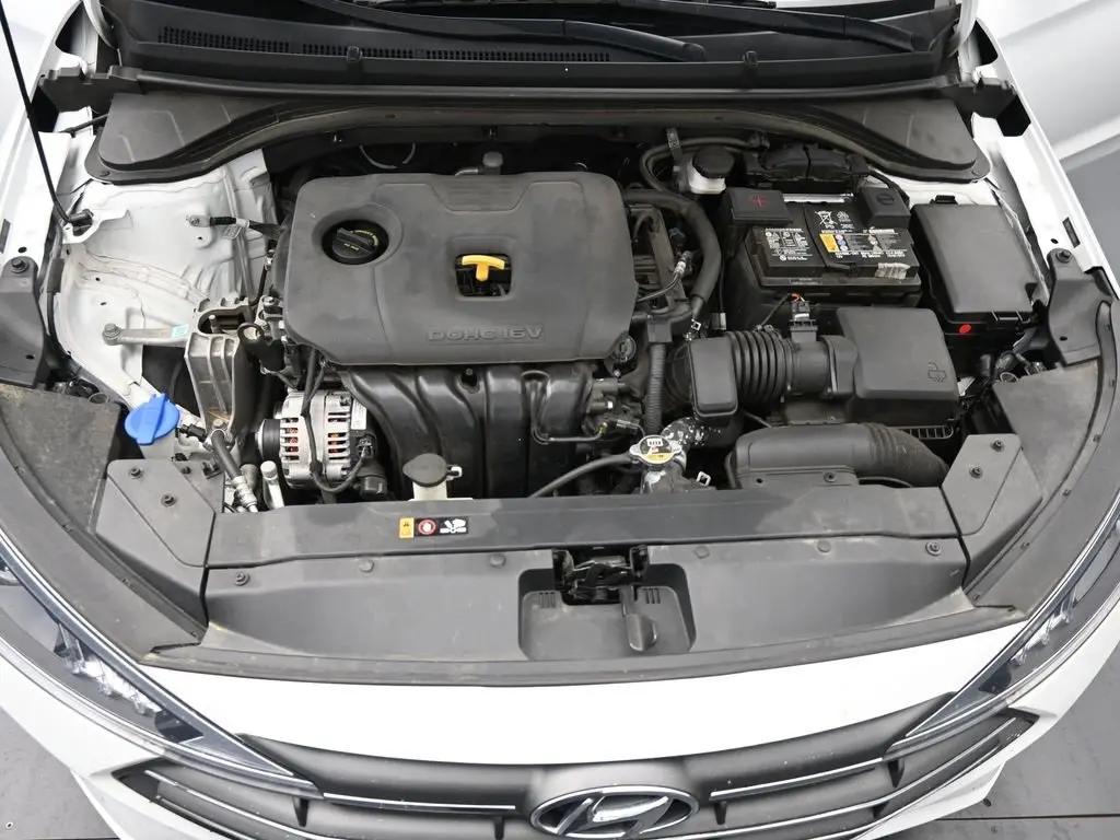 image-19