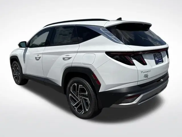 image-2