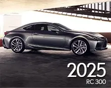 2025 RX 350