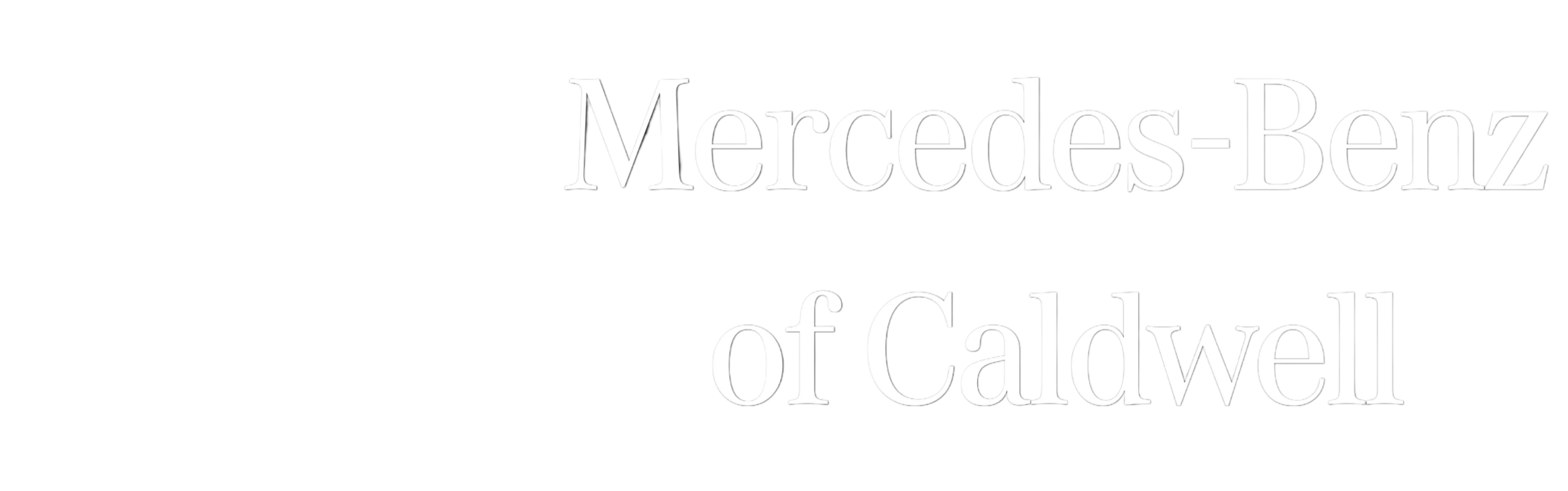 Dealer Logo Primary