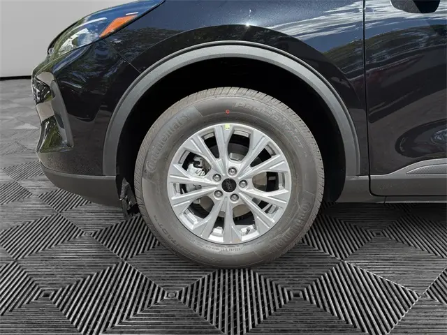 image-13