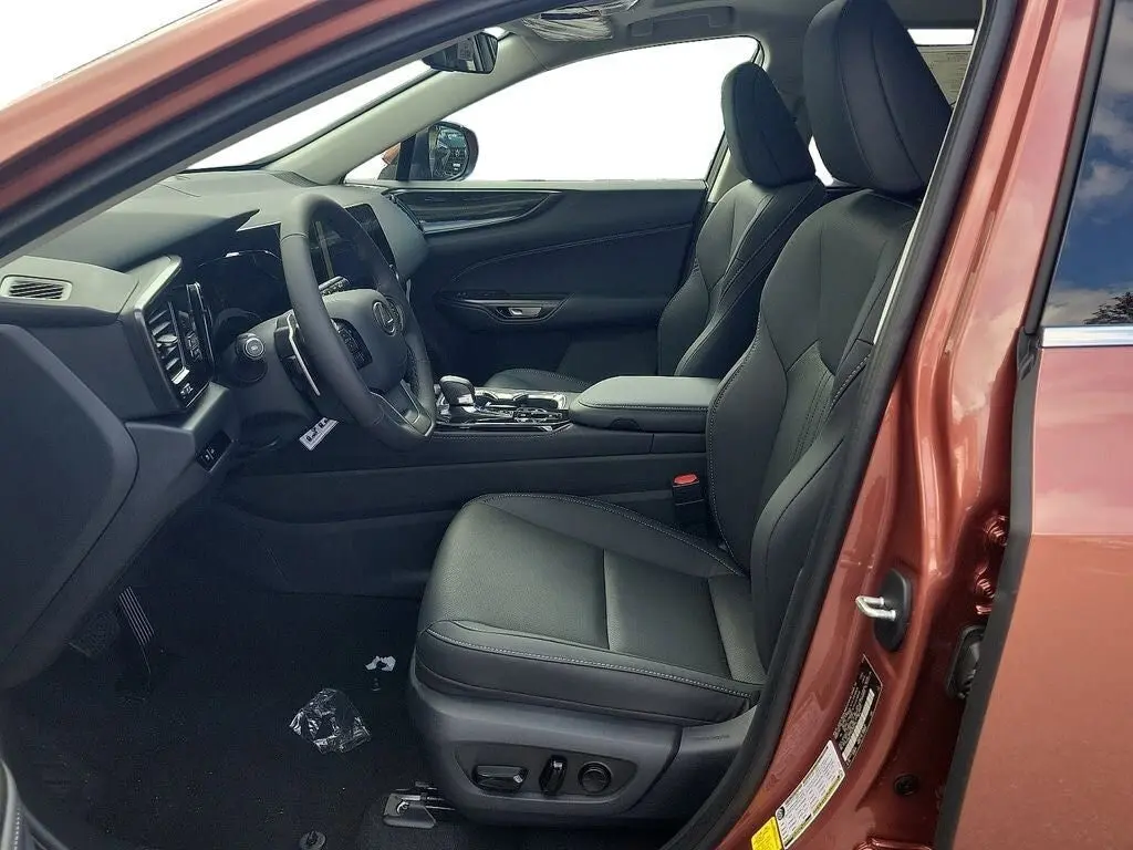 image-12