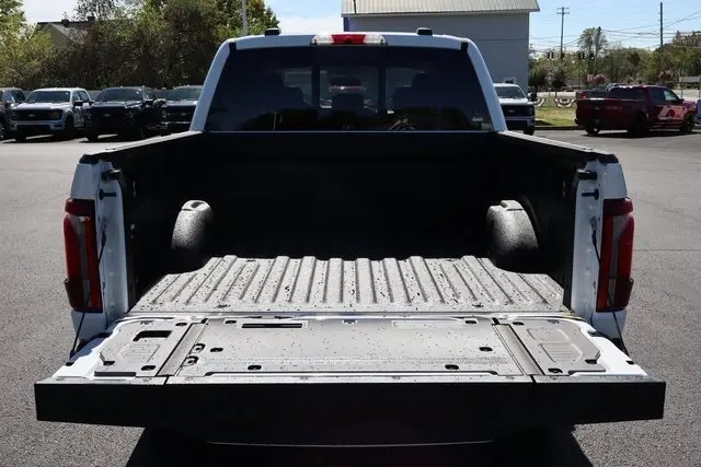 2025 Ford F-150 Platinum photo 20