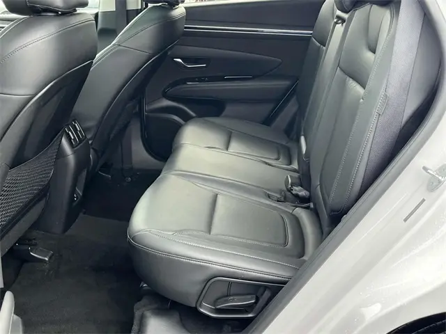image-15