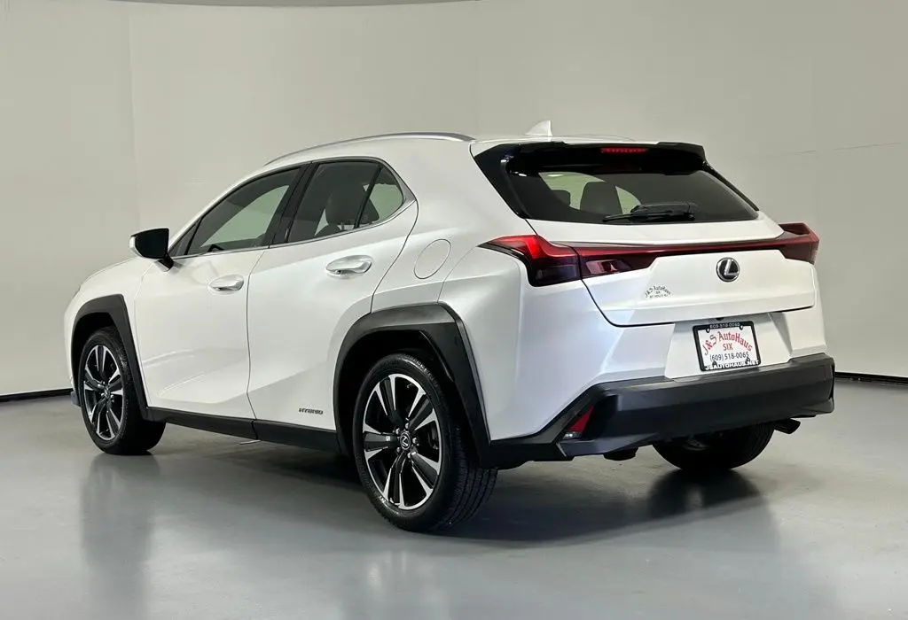 2021 Lexus UX 250h photo 5