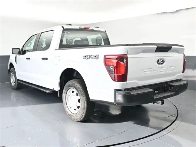 image-10