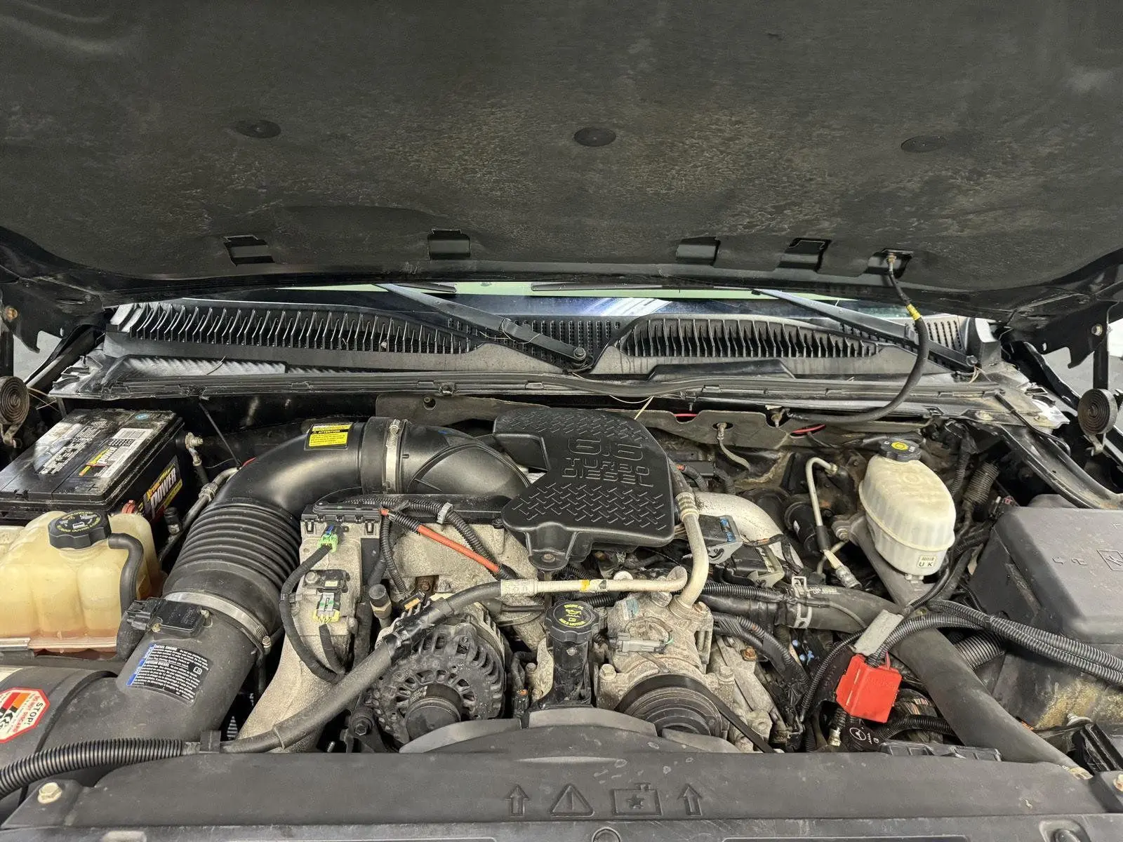 image-7