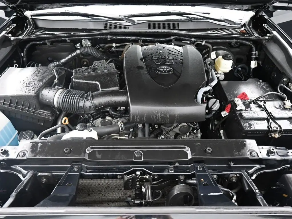 image-19