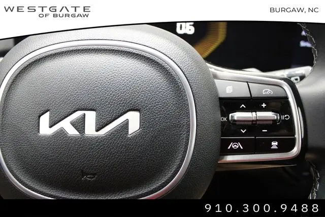 image-19