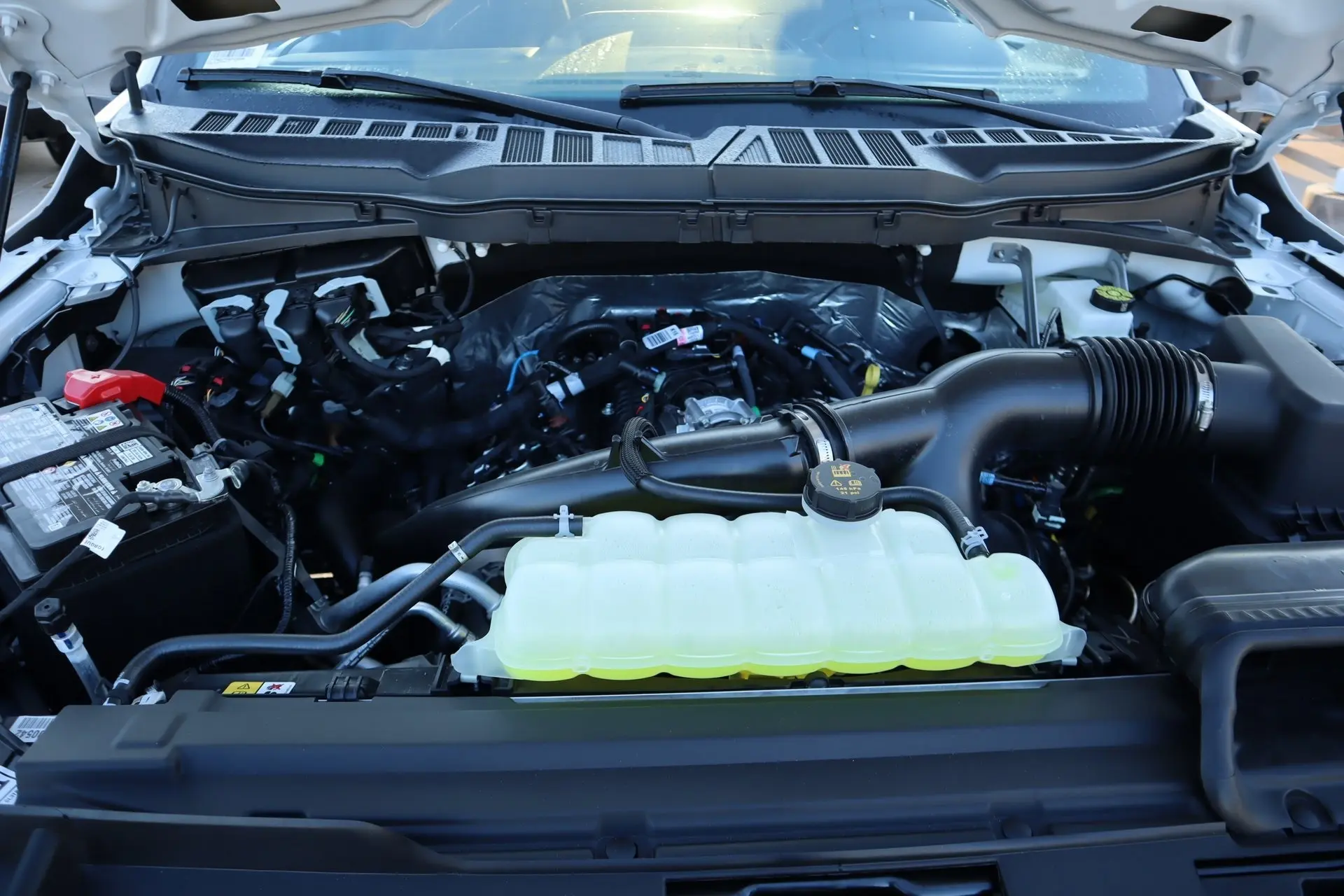 2025 Ford F-150 STX photo 14