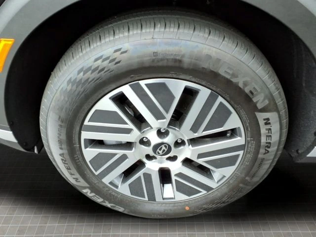image-19