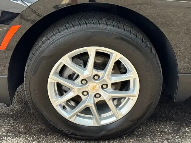 image-19