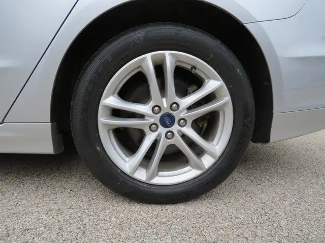 image-7