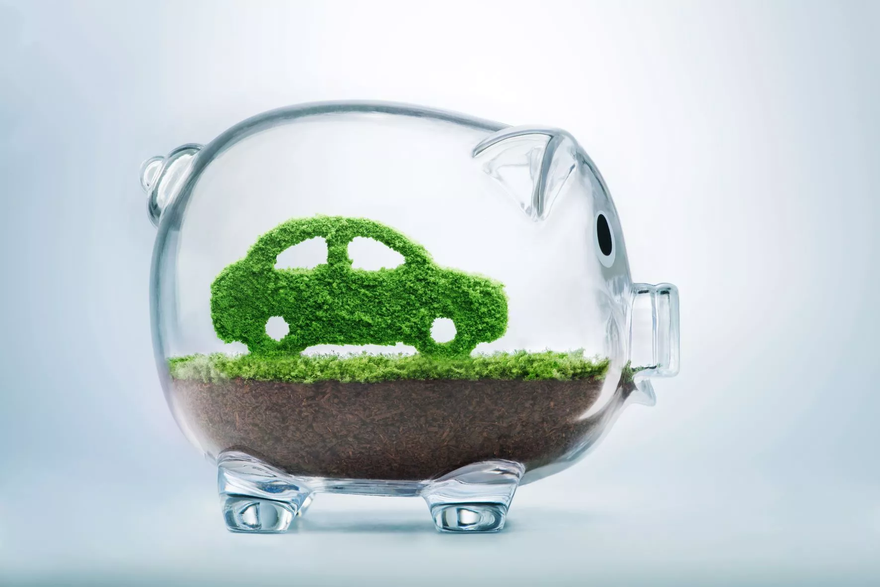 Clear Piggy Bank with Green Grass growing inside in the shape of a car, there is dirt below the grass layer where the car is growing, the background is blank