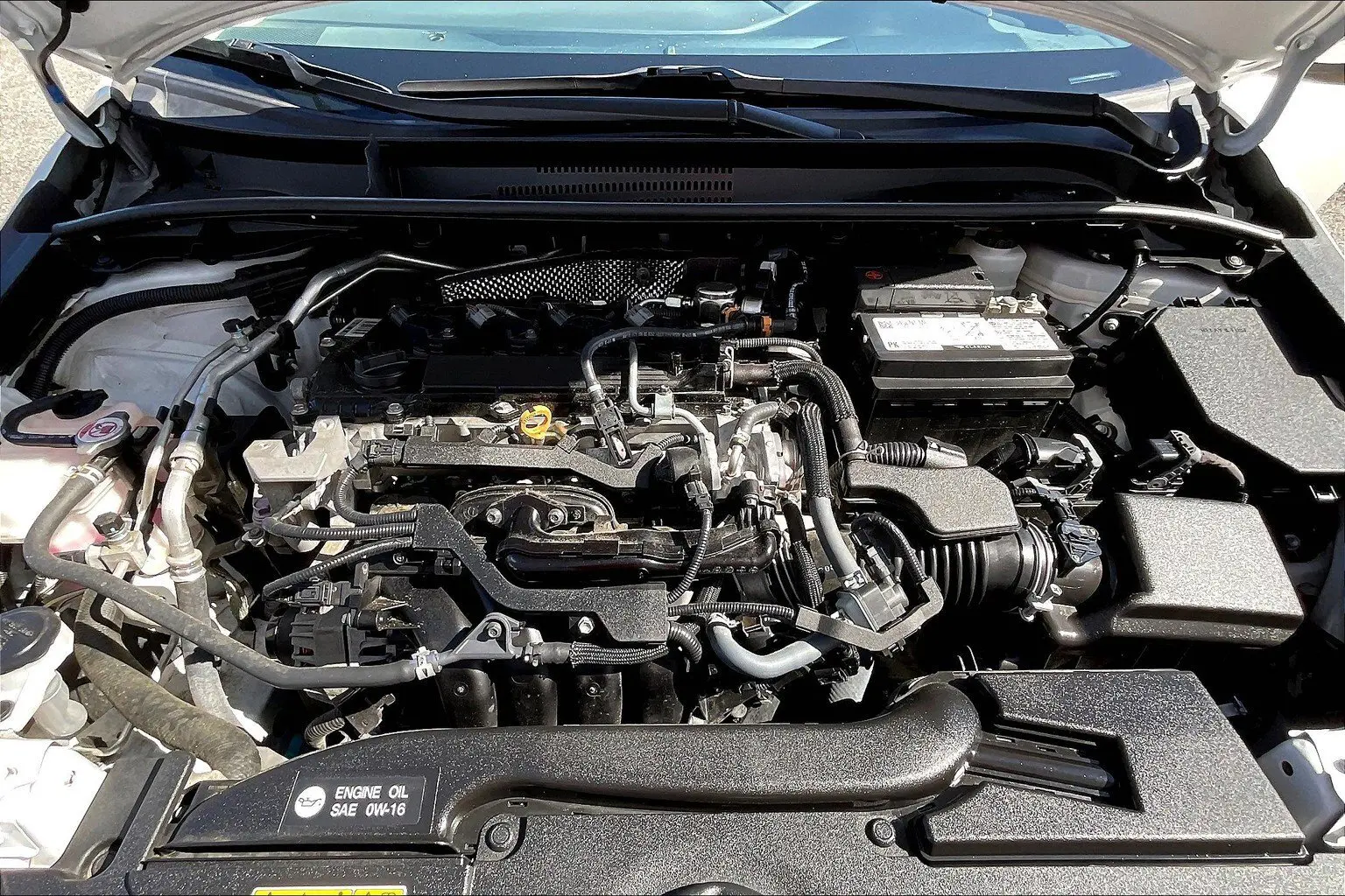 image-12