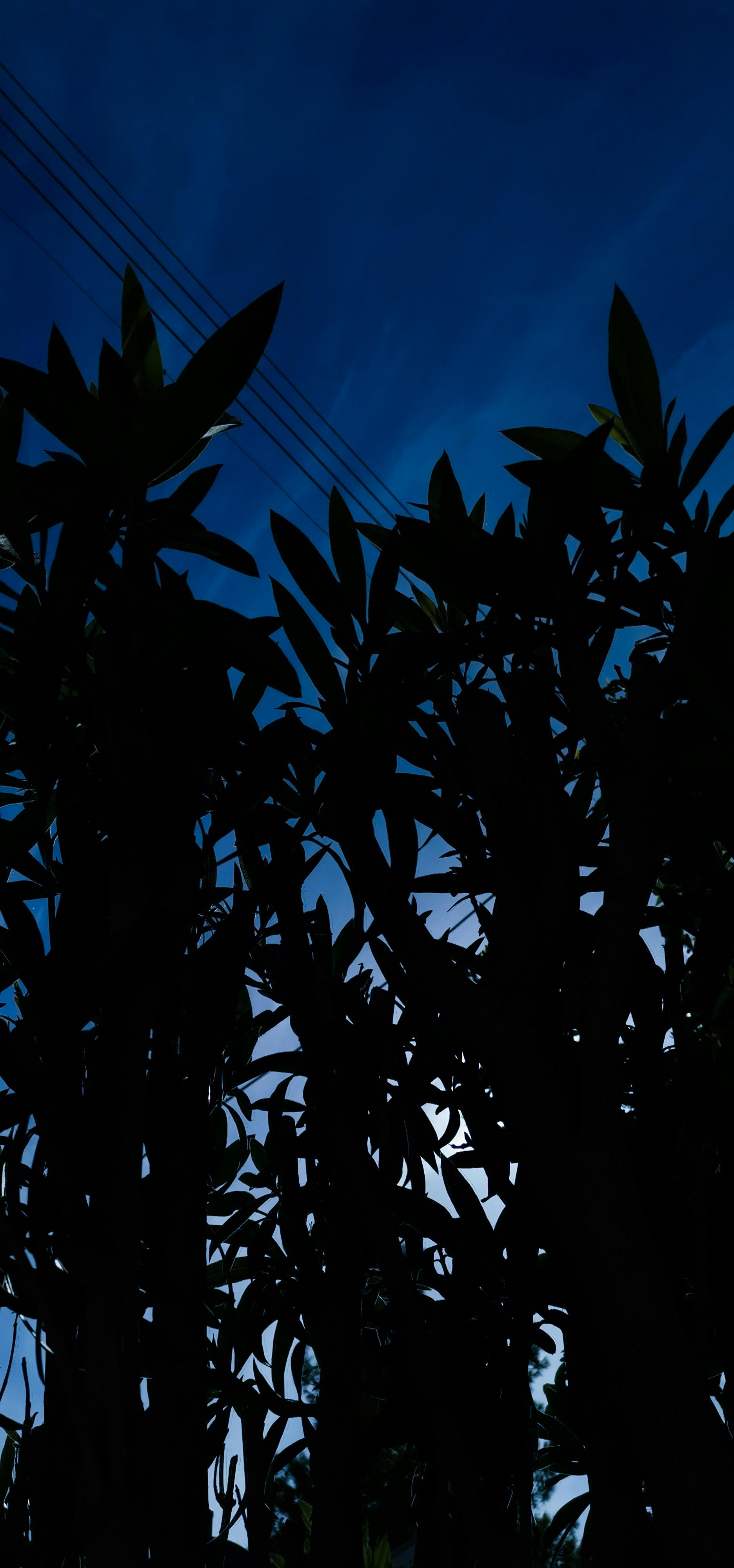 Happy customer with a pickup truck