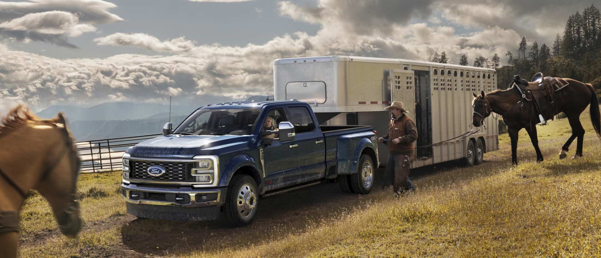 image of ford truck towing horse trailer next to horses