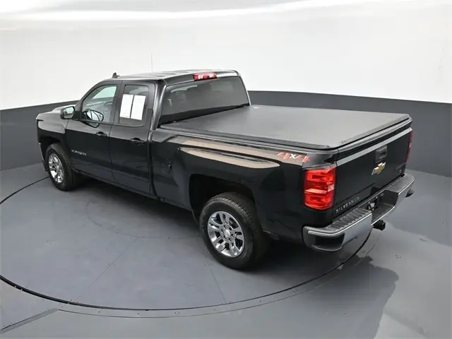 image-19
