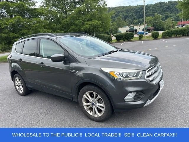 2017 Ford Escape SE's photo