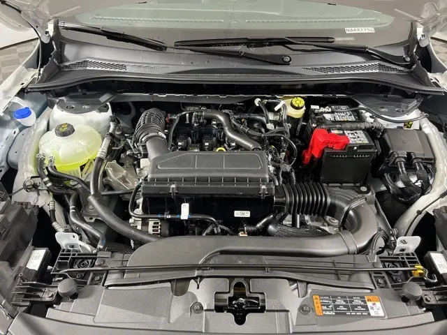 image-2