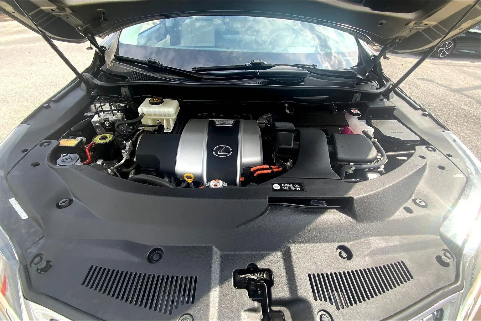 image-12