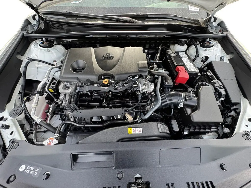 image-8