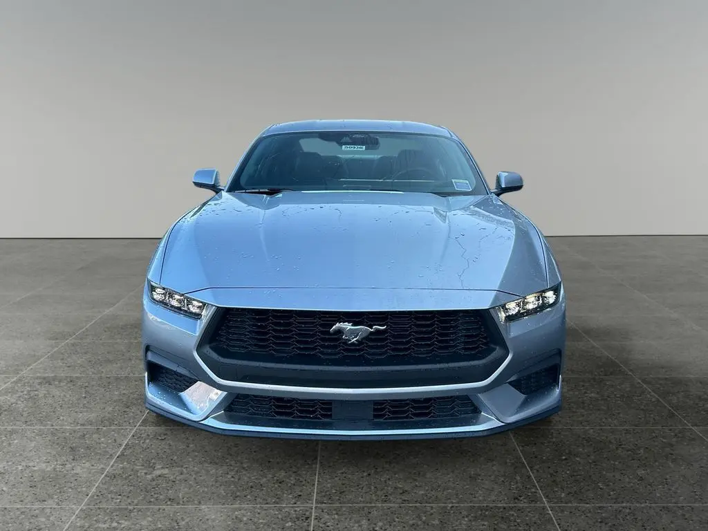2025 Ford Mustang EcoBoost Premium photo 2