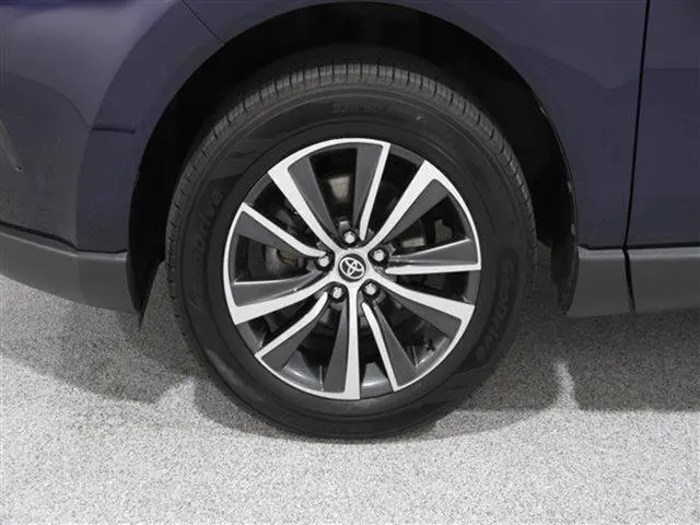 image-19