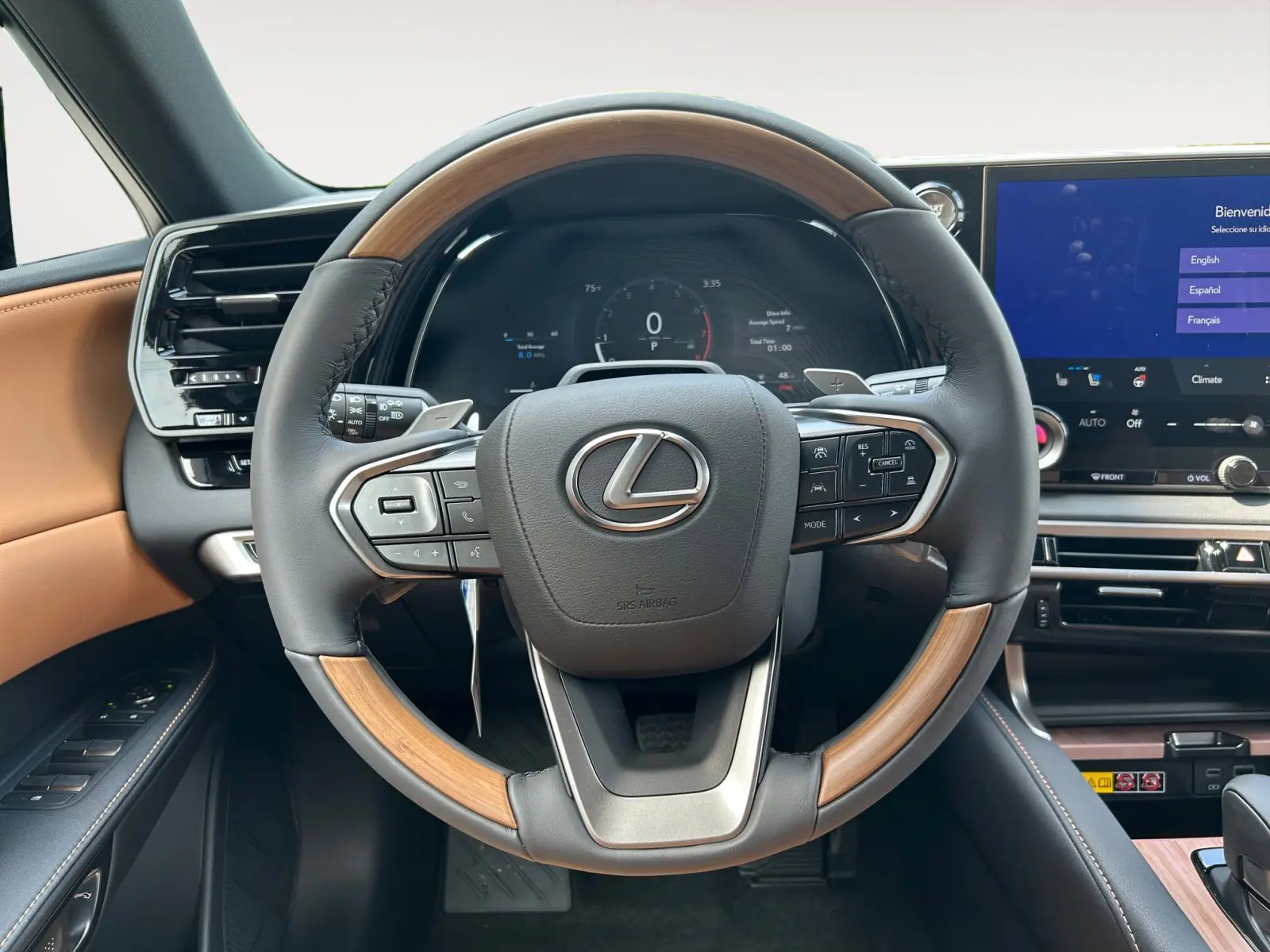 2025 Lexus RX 350 Premium AWD photo 12