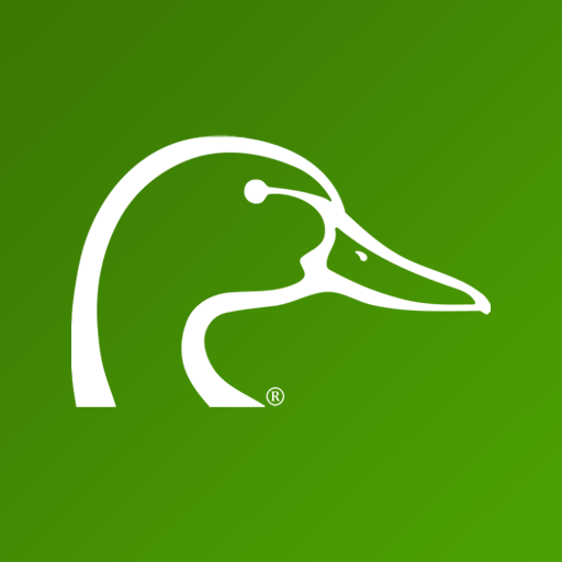 Blog Cover Image