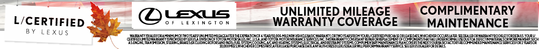 banner-image