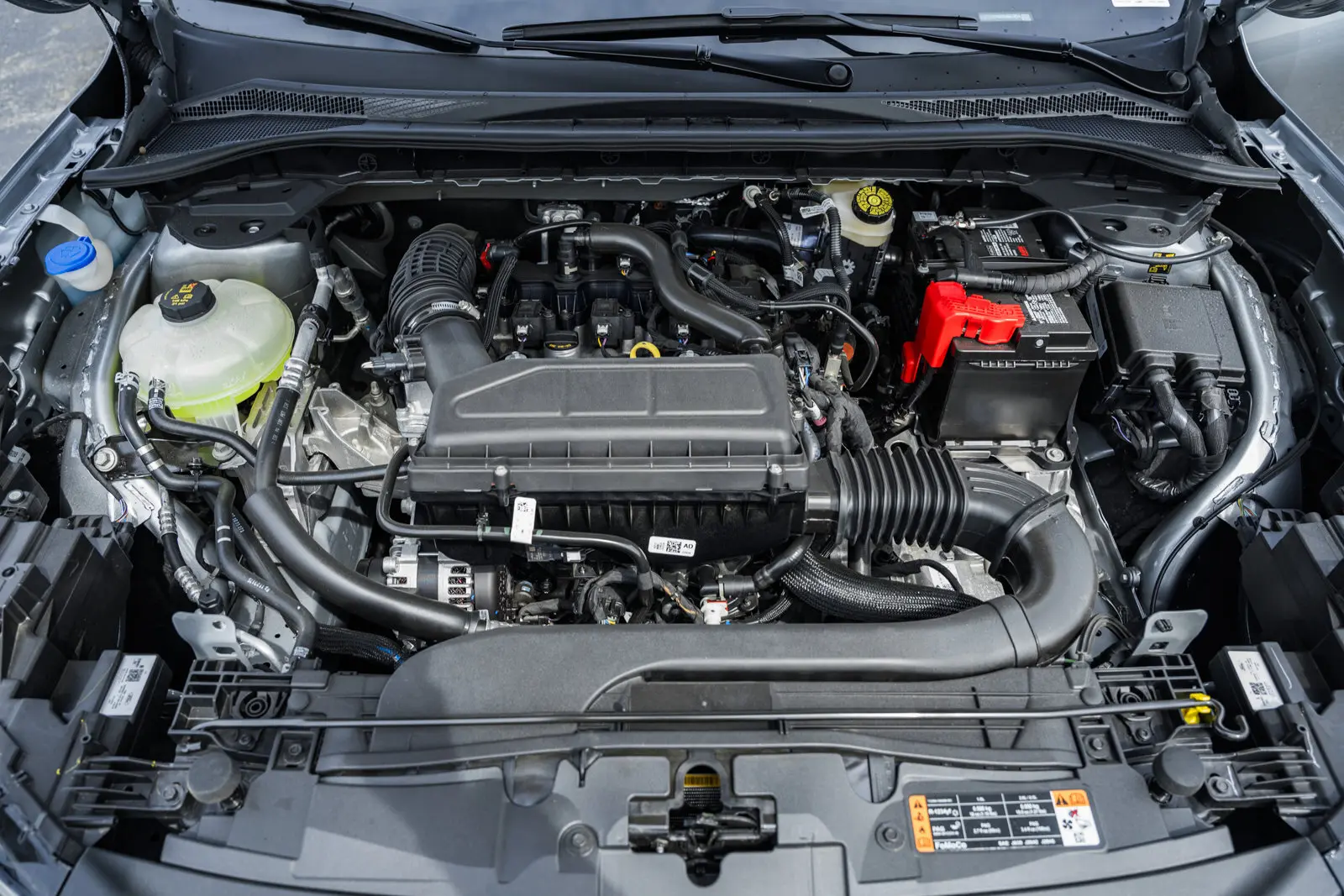 image-19