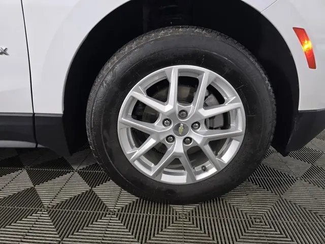 image-19