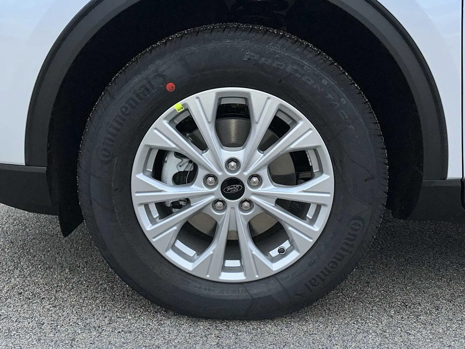 image-9