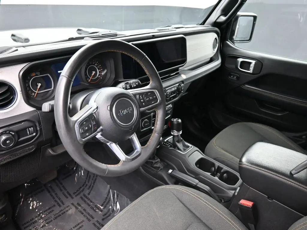 image-19