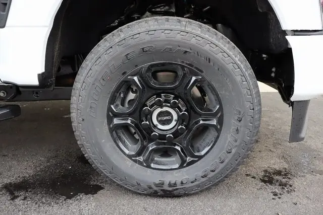 image-10