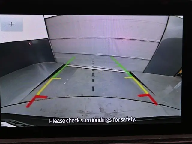 image-19